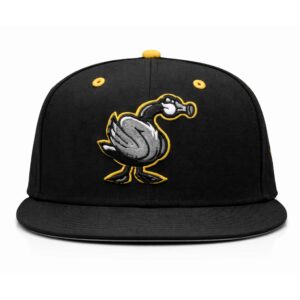 wichita honkers hat 20262