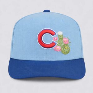 chicago cubs spring training 2026 hat