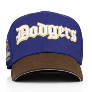 dodgers stadium hat 2026 blue brown