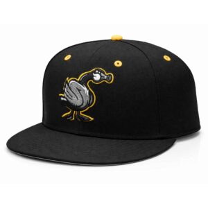wichita honkers hat 2026