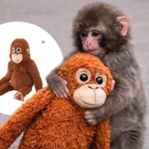 monkey punch djungelskog soft toy4