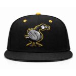 Wichita Honkers Hat 2026