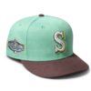 seattle 2001 all star game shrek hat