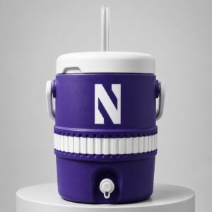 northwestern mini cooler cups