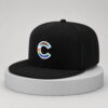 cubs 2026 pride night snapback hat