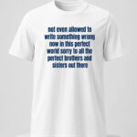 Not Even Allowed To Write Something Wrong Now In This Perfect World Shirt