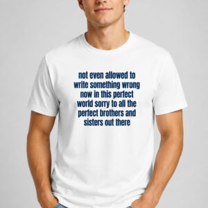 not even allowed to write something wrong now in this perfect world shirt2