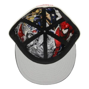 the spider man evolution collection 1999 the amazing spider man hat2