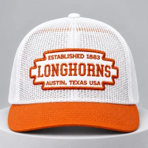 texas longhorns established 1883 hat