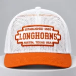 Texas Longhorns Established 1883 Hat