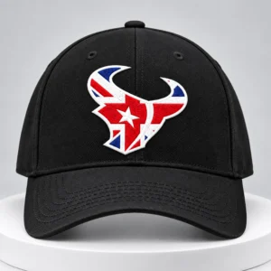 2026 texans flag uk new profile pic hat